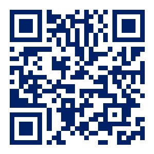 QR code linking to the DEMO demo auction